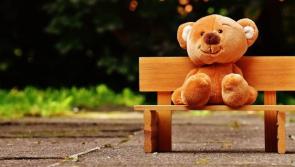 'Teddy Bear Picnic' taking place at 2 o'clock in the People's Park in Athy tomorrow