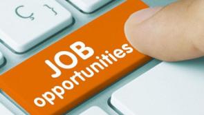 Kildare TD welcomes record job creation by Enterprise Ireland firms in 2021
