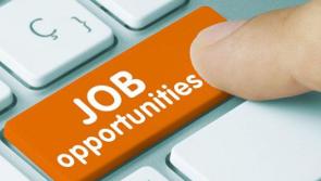 Two global companies plan to add 40 new jobs as part of Irish expansions