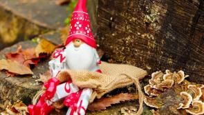 Jail time for taking Christmas decorations worth €260 from Kildare store