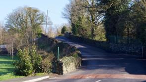 Upgrades to Kildangan Railway Bridge out for tender says Kildare TD