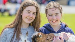 PHOTO GALLERY: A great day out at the Naas Races Family Fun Day