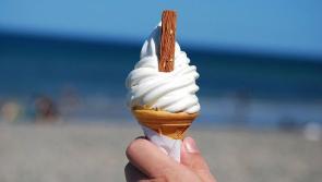 Sunny spells and highest temperatures of 21C for Co Kildare today