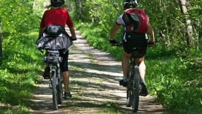 Council seeks expressions of interest for 'cycle cafés' around Co Kildare 