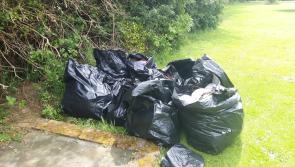 Newbridge Gardai find knives and syringes in clean-up of Liffey Linear Park and back of Town Hall