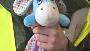Lost and Found: Cuddly soft toy found in Leixlip housing estate