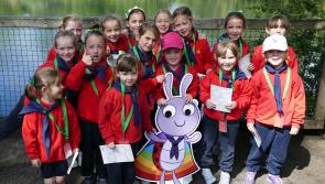 Newbridge girls among 300 to celebrate Ladybirds’ 30th birthday at Dublin Zoo