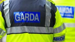 Gardaí investigating burglaries in the Naas area