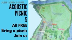 Acoustic Picnic 5 - from 2-5pm this afternoon at scenic Kildare location
