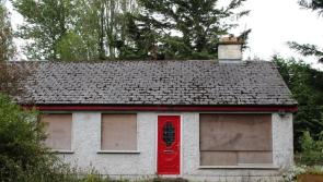 Would you take it on? Fixer-upper home in Ballitore going under the hammer next week with reserve price of €80k
