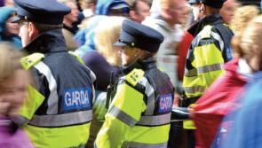 Gardai giving crime prevention advice in shop in Ballylinan on July 19