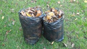 Council says that it can no longer collect green waste due to lack of resources