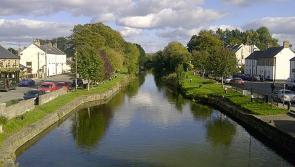 Anti-poaching operation aimed at protecting rare Crayfish carried out in the Grand Canal at the weekend