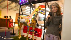 Kildare based artist Lia Laimbock raises €14,000 at charity auction