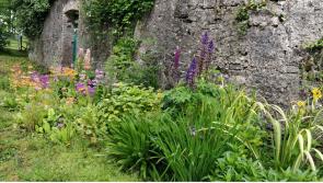 Don't forget - Russborough House to host RHSI Garden Show on Sunday next