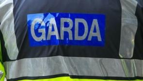 Woman spat beer at Naas gardaí during row with neighbour
