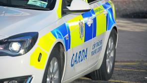 Gardai in Maynooth make renewed appeal for information following carjacking 