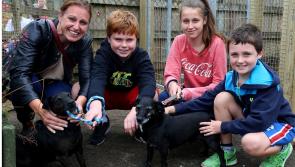 KWWSPCA Animal Shelter Open Day – Sunday,  August 18, 12-4pm