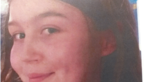 Gardai in Wicklow appeal for help to trace missing teen (15)