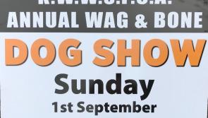 KWWSPCA Annual Wag & Bone Show, Sunday next