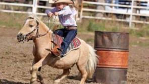 Eadestown Family Field Day - Sunday, September 8