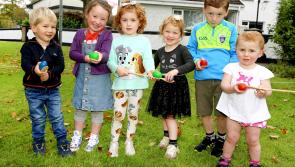Gallery: Calverstown Family Fun Day 