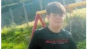 Gardaí seek public assistance in finding Wexford youth (13) 
