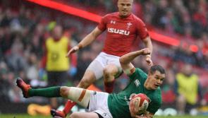 Johnny Sexton ready to return after enduring Japan defeat from stands 