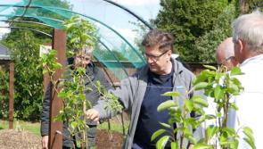 Kildare farmers shortlisted for prestigious 'Farming for Nature Award' 2019