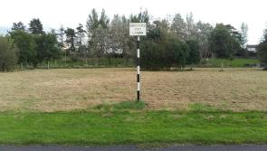 
Kildare resident angered at grass mowed in designated wet lands area