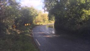 Calls for Council to deal with 'very dangerous'  bend on Dunboyne Road in Maynooth 