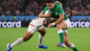 Kildare man Joey Carbery fit again and ready for Samoa test 