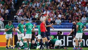 THE VERDICT: Ireland's report card after a disappointing Rugby World Cup 