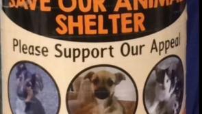 KWWSPCA await An Bord Pleanála’s decision on Athgarvan shelter