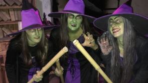&ldquo;Halloween Happenings&rdquo; is back at Lullymore Heritage & Discovery Park