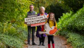 Operation WildNation to drive Kildare pupils wild
