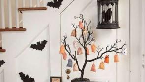 Some 'spooktacular' Halloween decor from leading Co Kildare interior designer