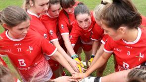 Kildare man appointed as senior team manager to Louth LGFA