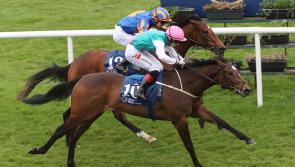 Naas Racecourse to host flat season finale today 