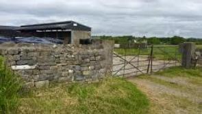 Kildare Gardai target suspected illegal poachers in the Ballyshannon area