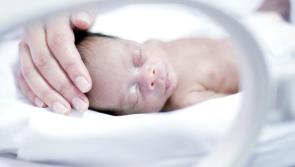Report links homelessness to preterm births and low birth weight.