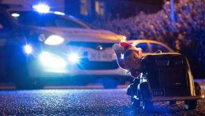 Gardaí pull over 'Elf on the Shelf' rolling into town