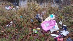 Anger at 11 bags of rubbish dumped in Athy canal at weekend