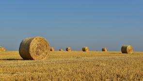 State bodies want more women on agricultural boards