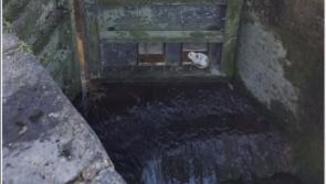 Ding, dong, Pussy's in the well - actually the lock