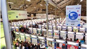 Plenty to see and do as the BT Young Scientist and Technology Exhibition 2020 continues today in the RDS