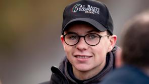 Can Joseph O'Brien bring a prized Punchestown Moscow Flyer title back to his stables?