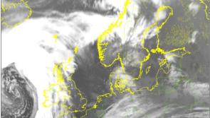 ALERT: Storm Brendan impact being felt with winds already reaching nearly 100km/h in Kildare