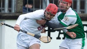 Lillies ease to victory in  National Hurling League opener