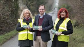 GENERAL ELECTION 2020: Lawless has regimented campaign routine in bid to return to Leinster House 